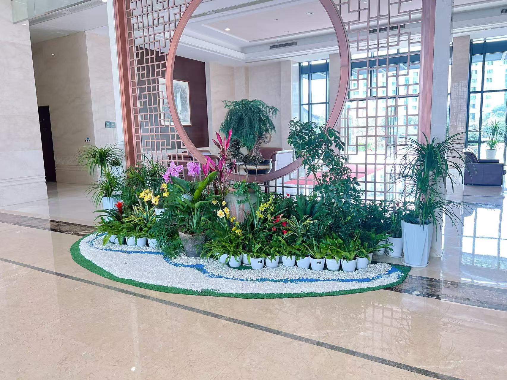 深度剖析江北绿植租赁哪家好，这家优势尽显，速围观！